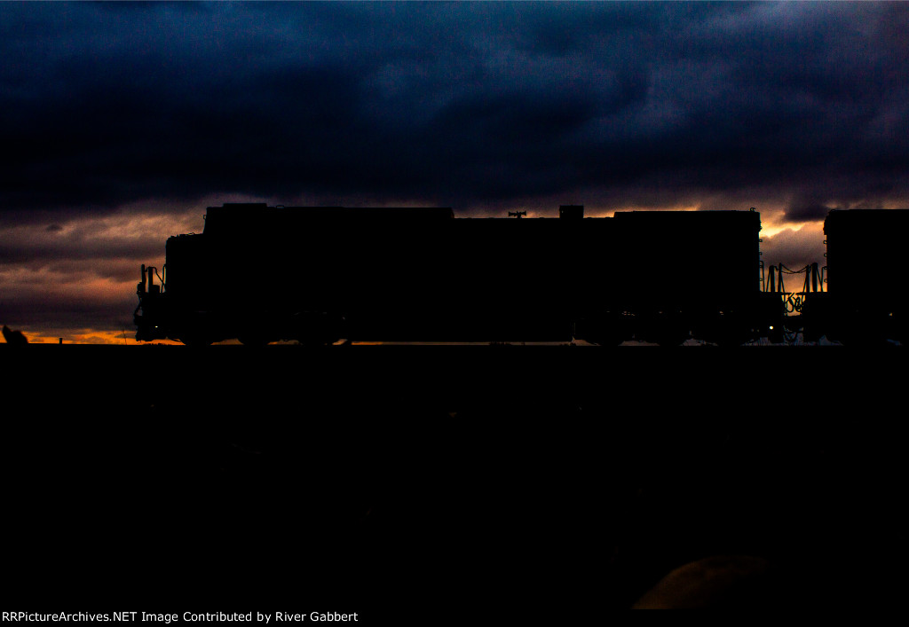 Silhouette at Rose
